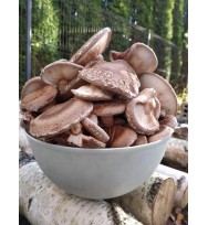 Shiitake grybai, 1 kg